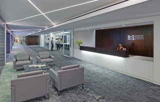 Berkley Research Group
